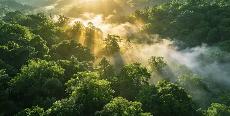 永州肺癌靶向120基因检测（组织）图片1