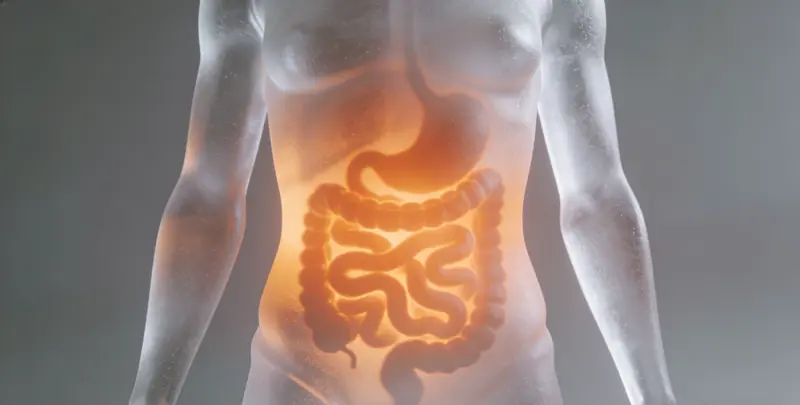 永州胃癌靶向用药39基因检测及PDL122C3表达检测套餐（组织）图片1